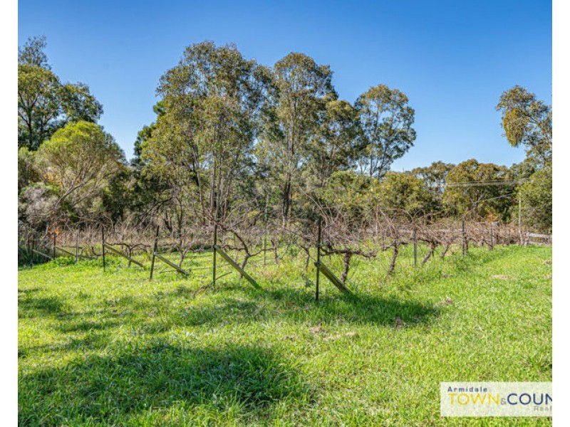 232 Bellewood Road, Armidale NSW 2350