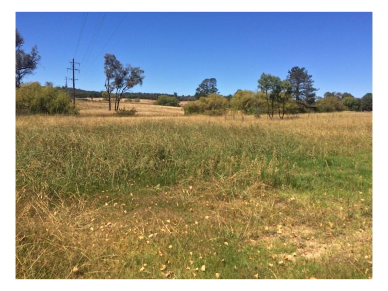Lot 2 44 Warrick Street, Uralla NSW 2358