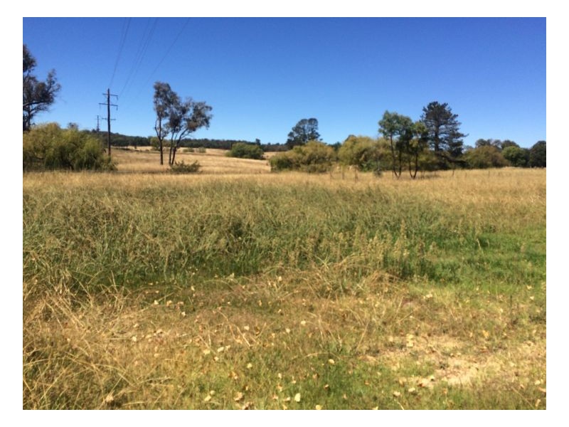 Lot 2 44 Warrick Street, Uralla NSW 2358