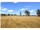 107 Gara Road, Armidale NSW 2350