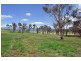 238 Bundarra Road, Armidale NSW 2350