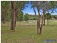 53 Kareela Road, Armidale NSW 2350