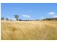 21 Blue Hole Road., Armidale NSW 2350