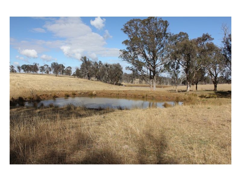 244. Donald Road, Armidale NSW 2350
