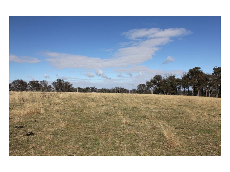 244. Donald Road, Armidale NSW 2350