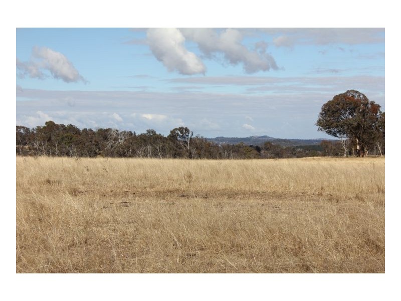 244. Donald Road, Armidale NSW 2350