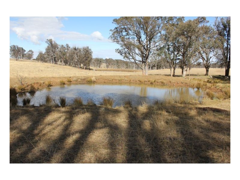 244. Donald Road, Armidale NSW 2350