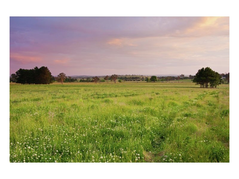 Lot 307 Old Gostwyck Park Estate, Armidale NSW 2350