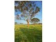 Lot 307 Old Gostwyck Park Estate, Armidale NSW 2350