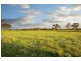 Lot 307 Old Gostwyck Park Estate, Armidale NSW 2350