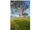 Lot 308 Old Gostwyck Park Estate, Armidale NSW 2350