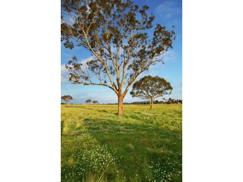 Lot 308 Old Gostwyck Park Estate, Armidale NSW 2350