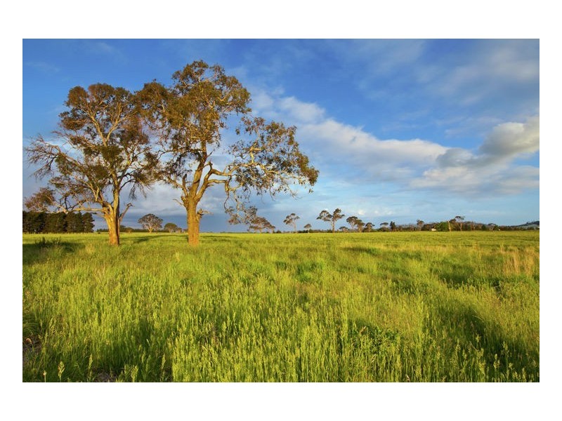 Lot 308 Old Gostwyck Park Estate, Armidale NSW 2350