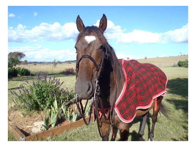 22-24. Blue Knobby Road, Armidale NSW 2350