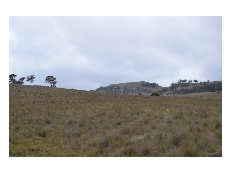 22-24. Blue Knobby Road, Armidale NSW 2350