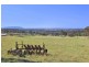 lot 105 Montrose Estate, Armidale NSW 2350