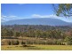 lot 105 Montrose Estate, Armidale NSW 2350