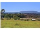 lot 105 Montrose Estate, Armidale NSW 2350