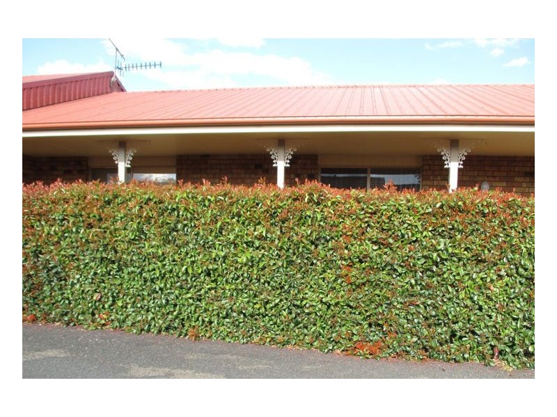 2/23 Baldblair Street, Guyra NSW 2365