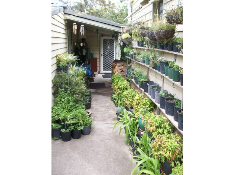 769 Springmount Road, Armidale NSW 2350