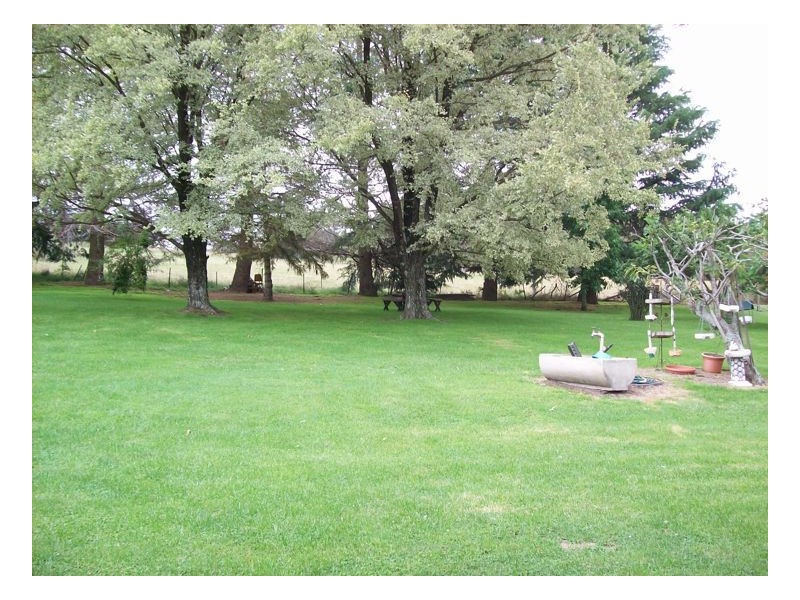 769 Springmount Road, Armidale NSW 2350