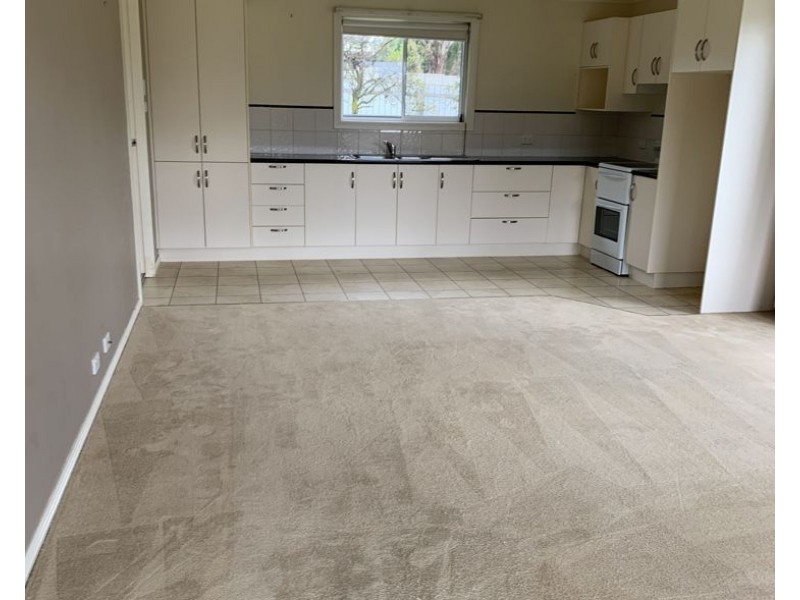 334B Beardy Street, Armidale NSW 2350