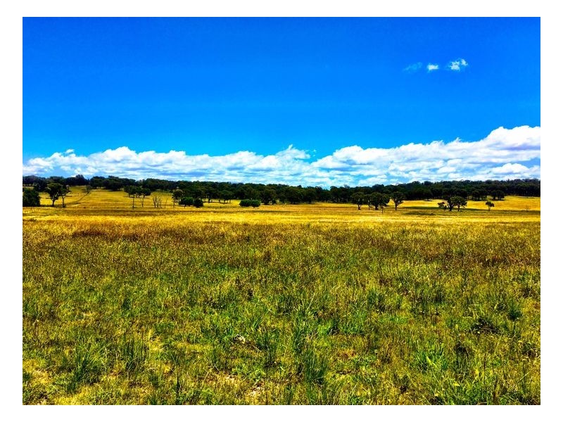 402 Dumaresq Road, Armidale NSW 2350