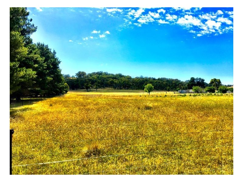 55 Barloo Road, Armidale NSW 2350