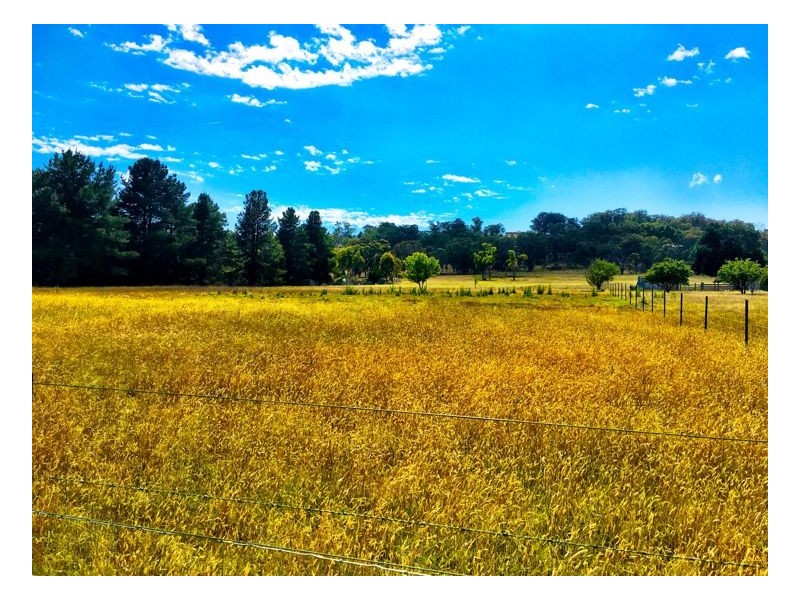 55 Barloo Road, Armidale NSW 2350