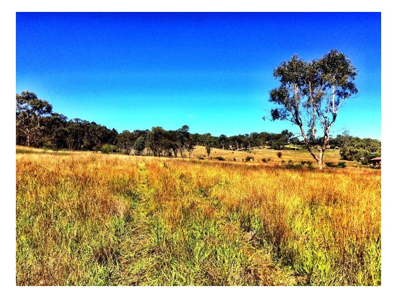 Lot 1, 35-65 Box Hill Drive, Armidale NSW 2350