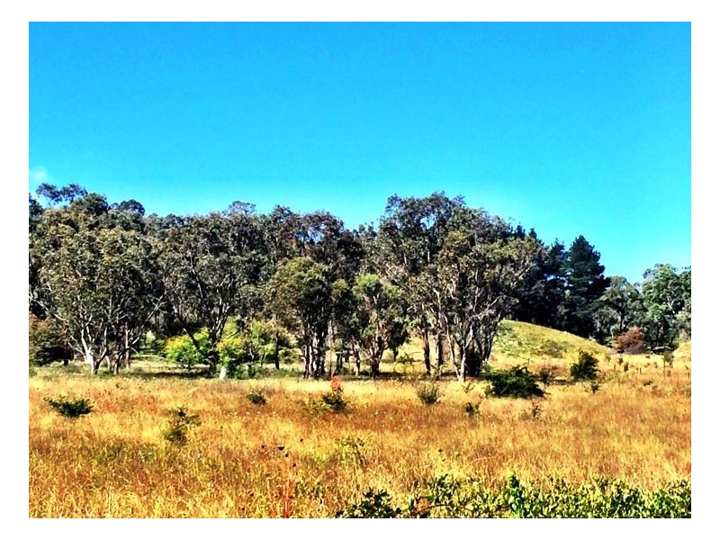 Lot 1, 35-65 Box Hill Drive, Armidale NSW 2350