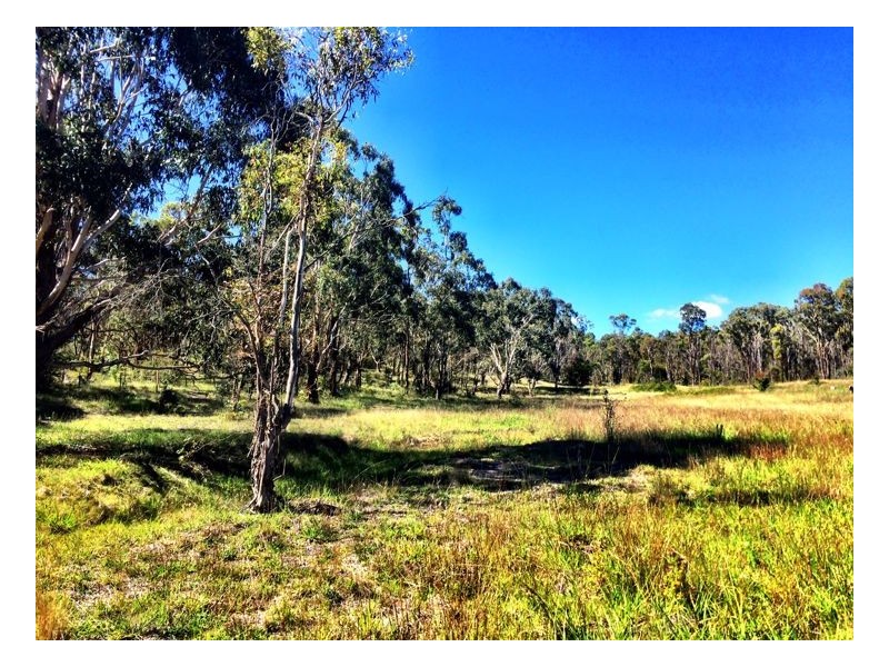 Lot 2, 35-65 Box Hill Drive, Armidale NSW 2350
