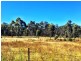 Lot 6, 35-65 Box Hill Drive, Armidale NSW 2350