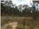 55 Panhandle Road, Uralla NSW 2358
