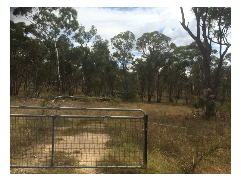 55 Panhandle Road, Uralla NSW 2358