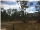 55 Panhandle Road, Uralla NSW 2358