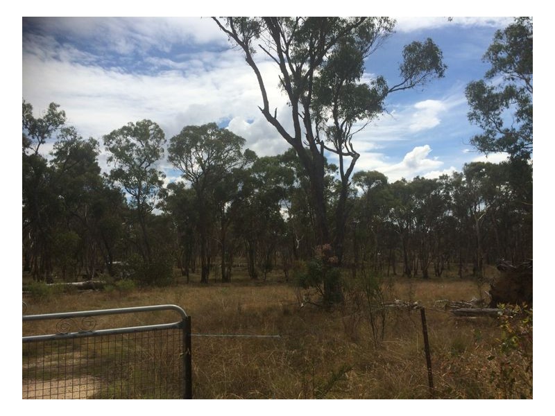 55 Panhandle Road, Uralla NSW 2358