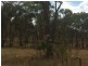 55 Panhandle Road, Uralla NSW 2358