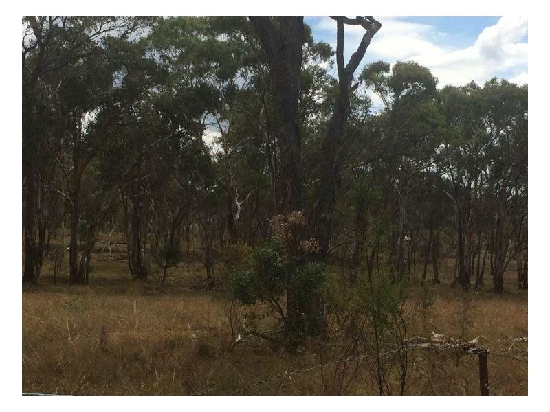 55 Panhandle Road, Uralla NSW 2358