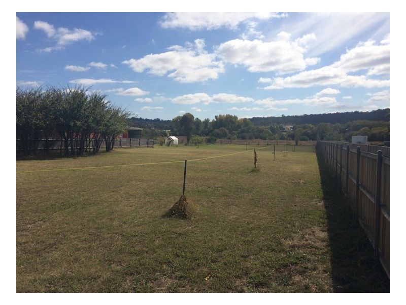 1A Donnelly Street, Armidale NSW 2350