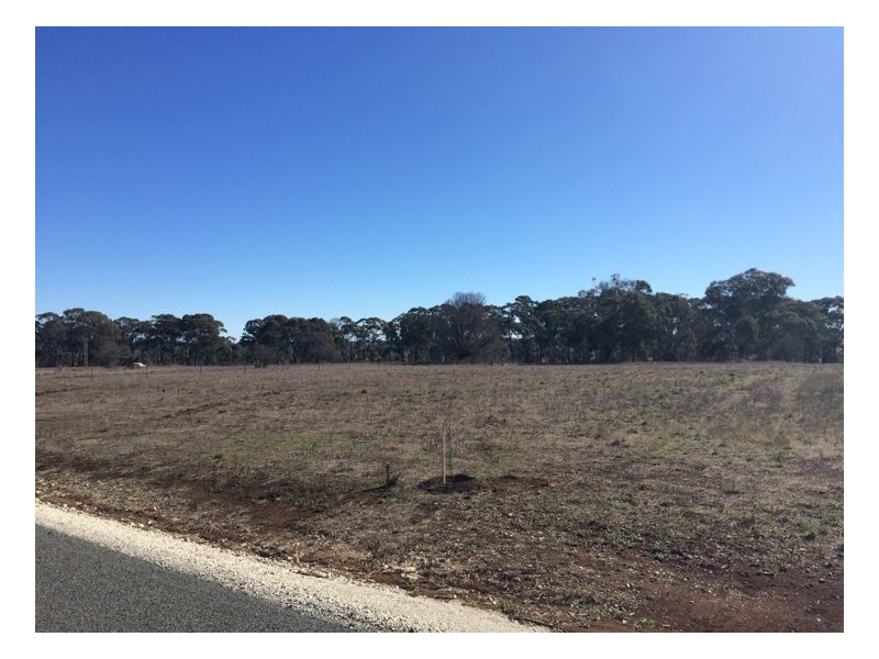 Fairview Estate, Armidale NSW 2350