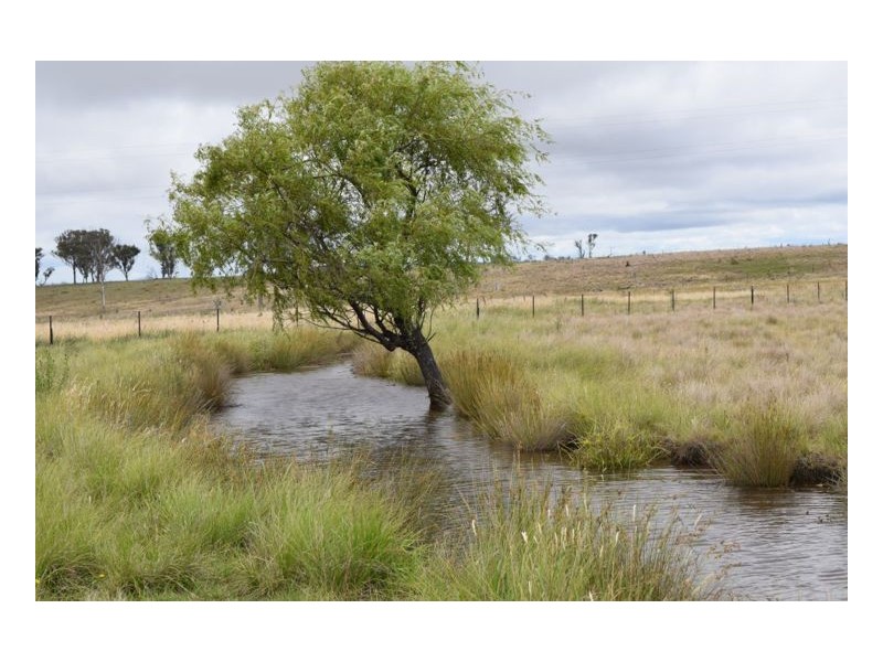 22-24 Blue Knobby Road, Armidale NSW 2350