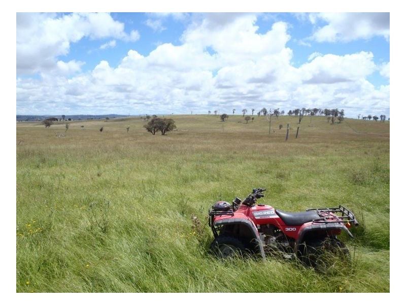 22-24 Blue Knobby Road, Armidale NSW 2350