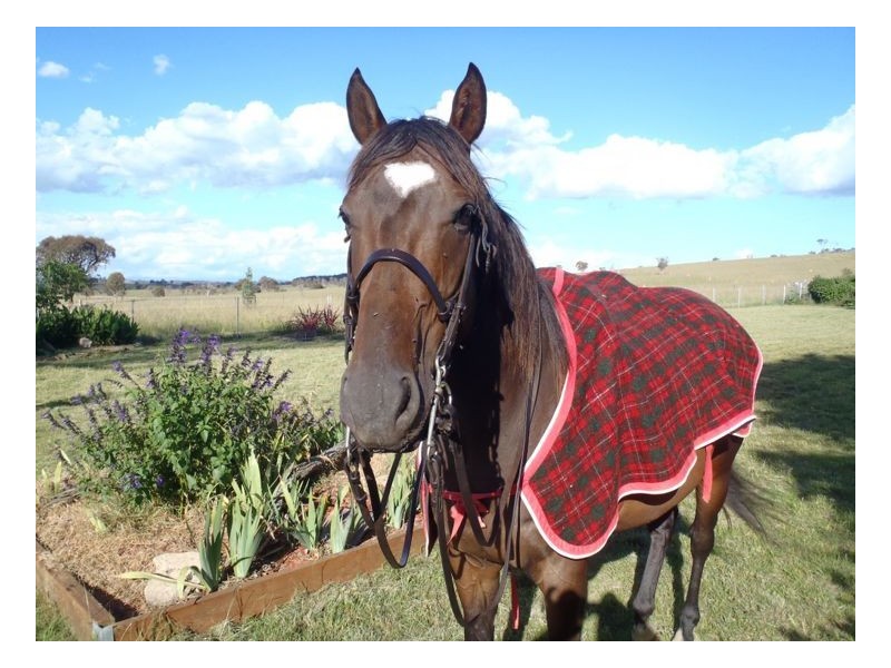 22-24 Blue Knobby Road, Armidale NSW 2350