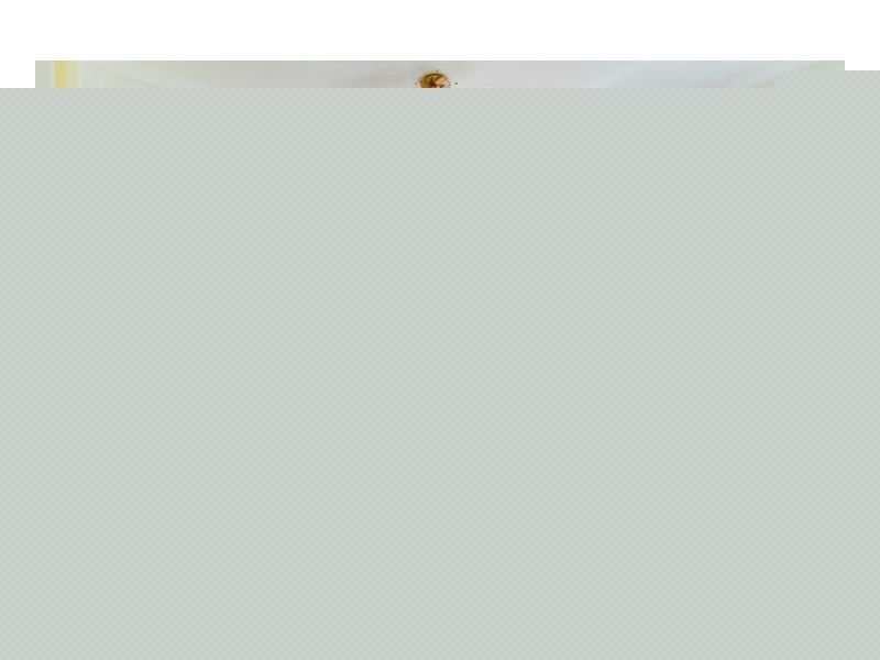 10 O’Dell Street, Armidale NSW 2350