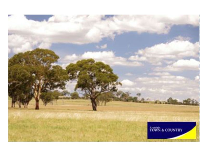 422 Dumaresq Road, Armidale NSW 2350