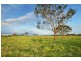 Lot 403 Old Gostwyck Park Estate, Armidale NSW 2350