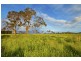 Lot 404 Old Gostwyck Park Estate, Armidale NSW 2350