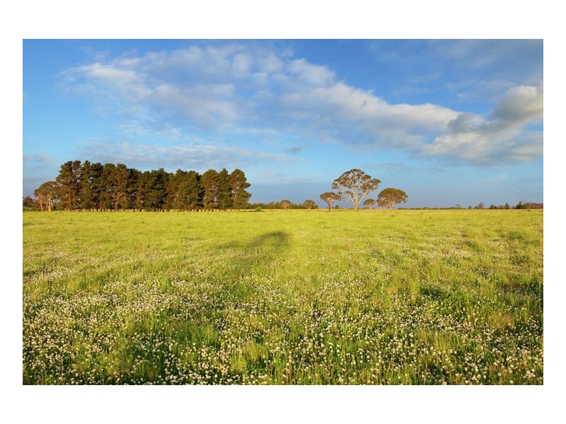 Lot 404 Old Gostwyck Park Estate, Armidale NSW 2350