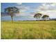 Lot 404 Old Gostwyck Park Estate, Armidale NSW 2350
